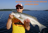 Striper fishing guide service
